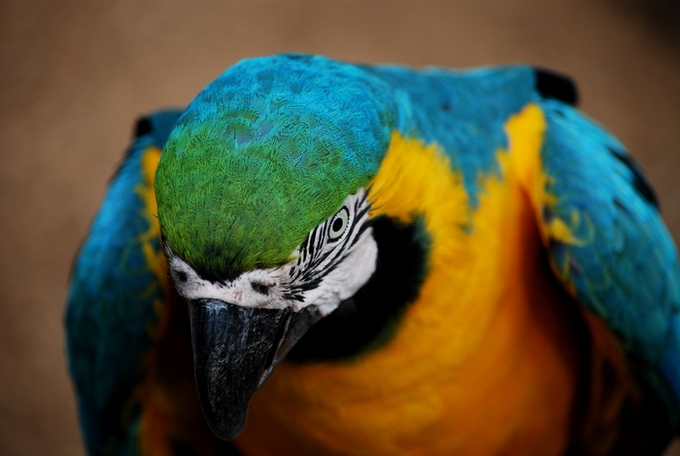 DSC_2579.JPG