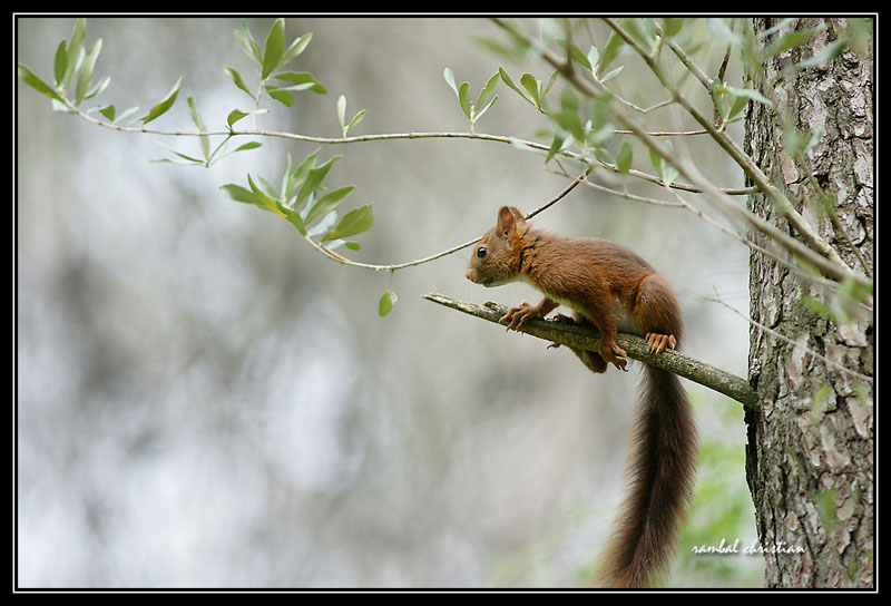 _DSC4192 copie.jpg