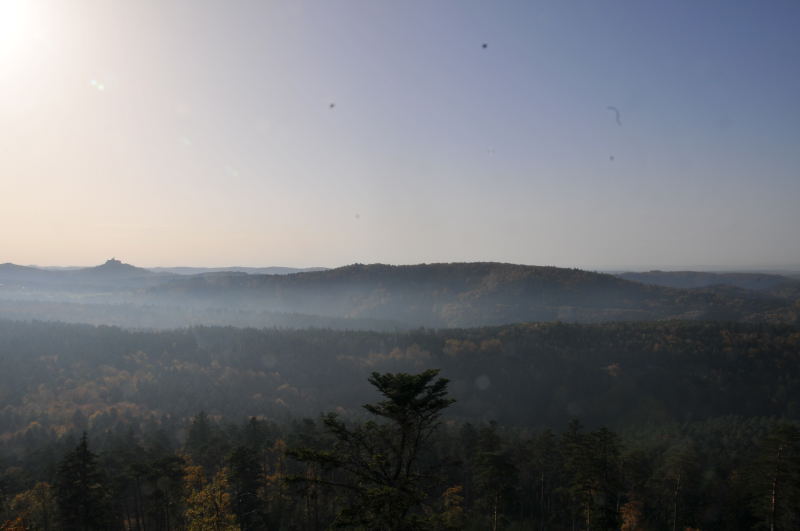 DSC_6371.JPG