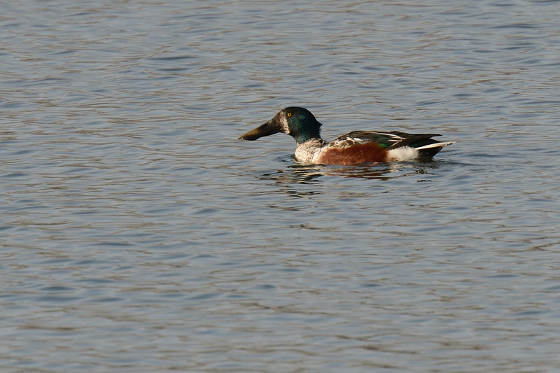 20120201_130220.jpg