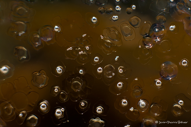 fonte de fleur de glace 3.jpg