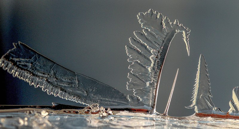 Sculpture de glace.jpg