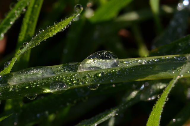 DSC_9063.jpg