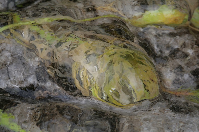 glace1_800.JPG