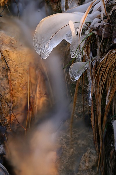 glace2_600.JPG