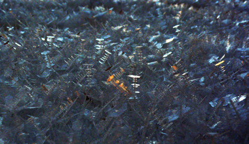 P1100202 copie 3.jpg