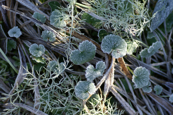 DSC01537_.jpg