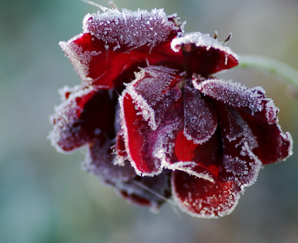 DSC01557_.jpg