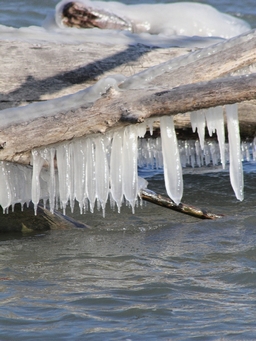 IMG_2159.JPG