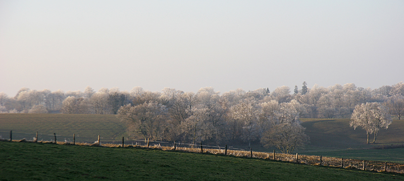 givre en campagne copie.jpg