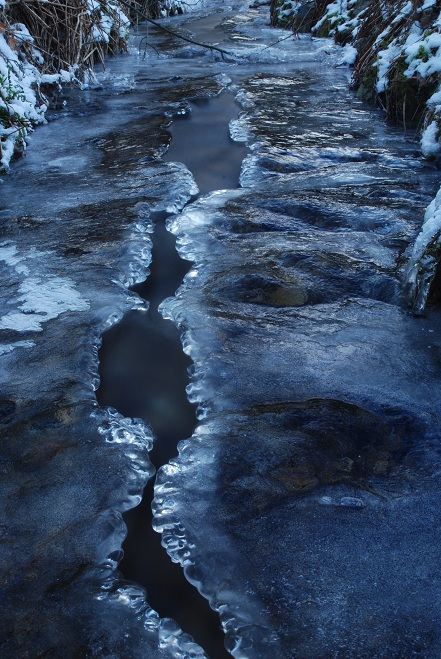 DSC_6778.JPG