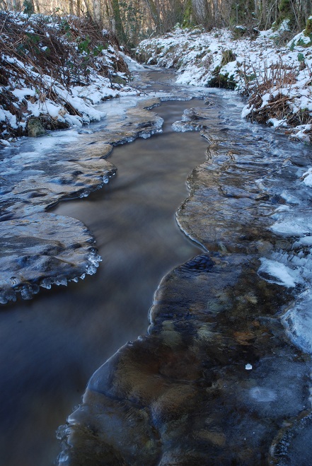 DSC_6779.JPG