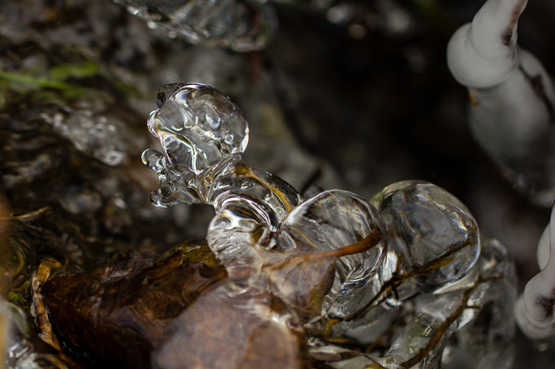 Glace 001.jpg
