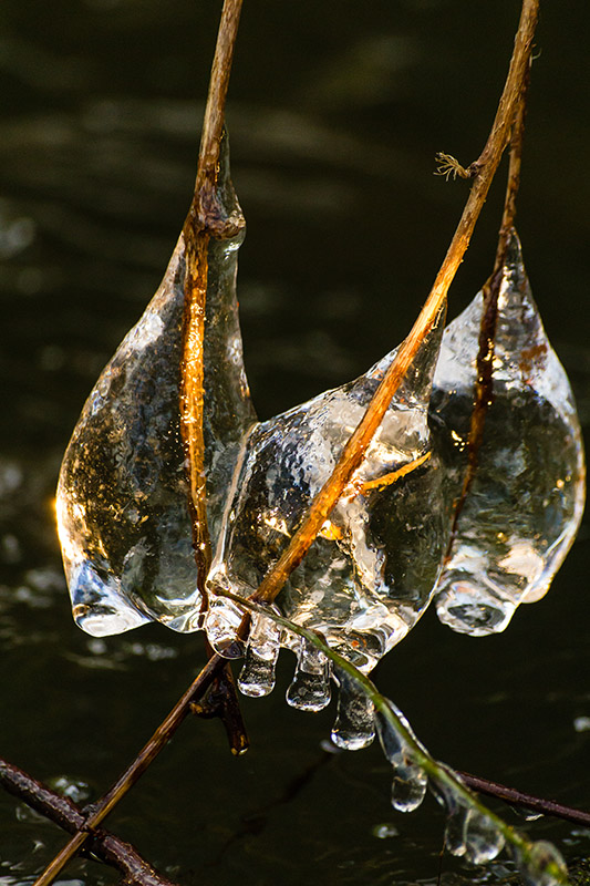 Glace01.jpg