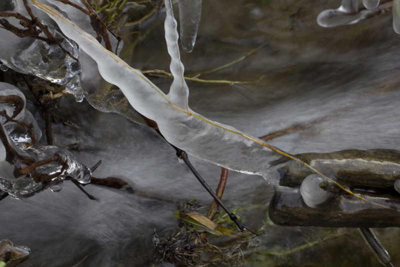 glace 004.jpg