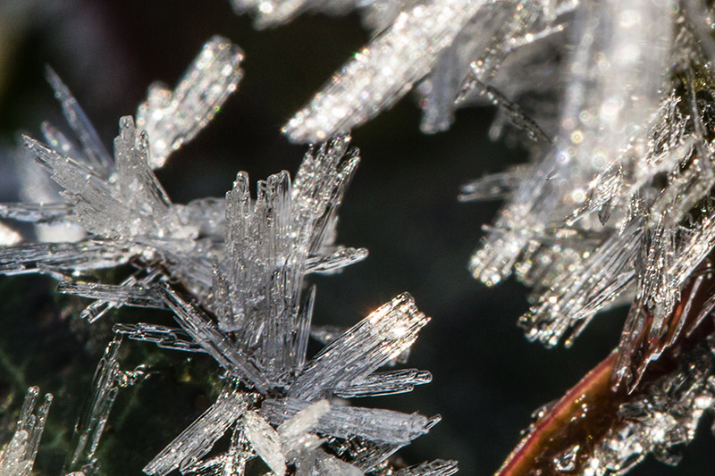 Givre03.jpg