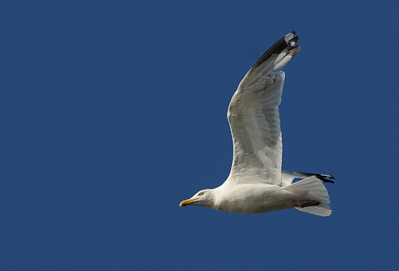 DSC_5907.JPG