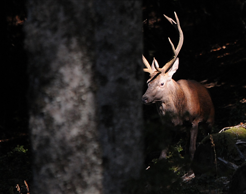 DSC_6677.JPG