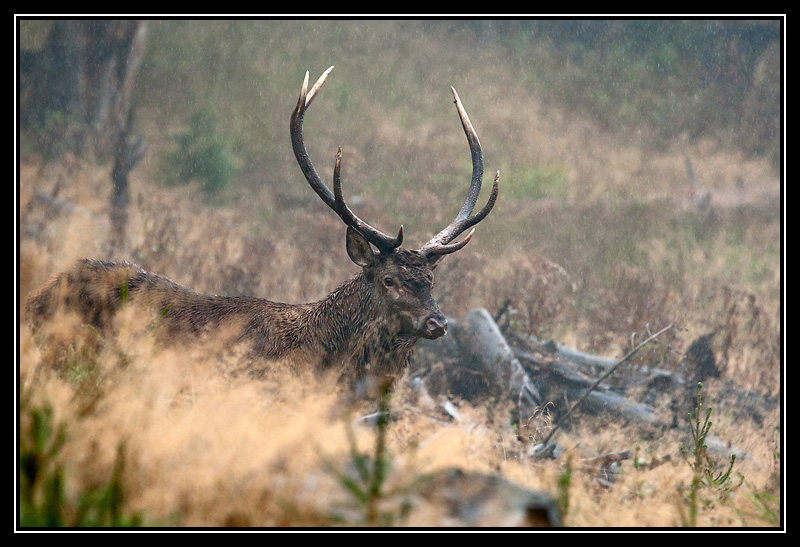 DSC08856-lr.jpg