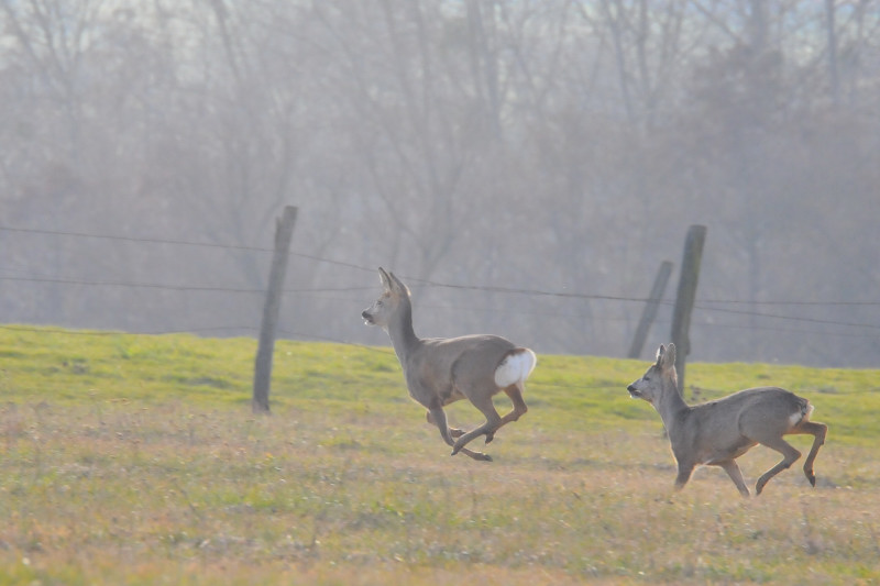 DSC_6839_01.JPG