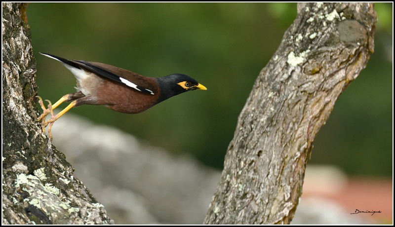 DSC_3026.JPG