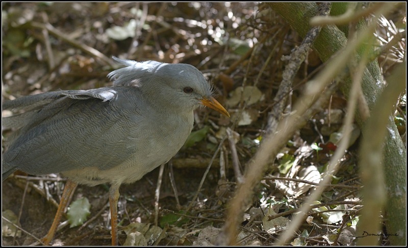 DSC_3931.JPG