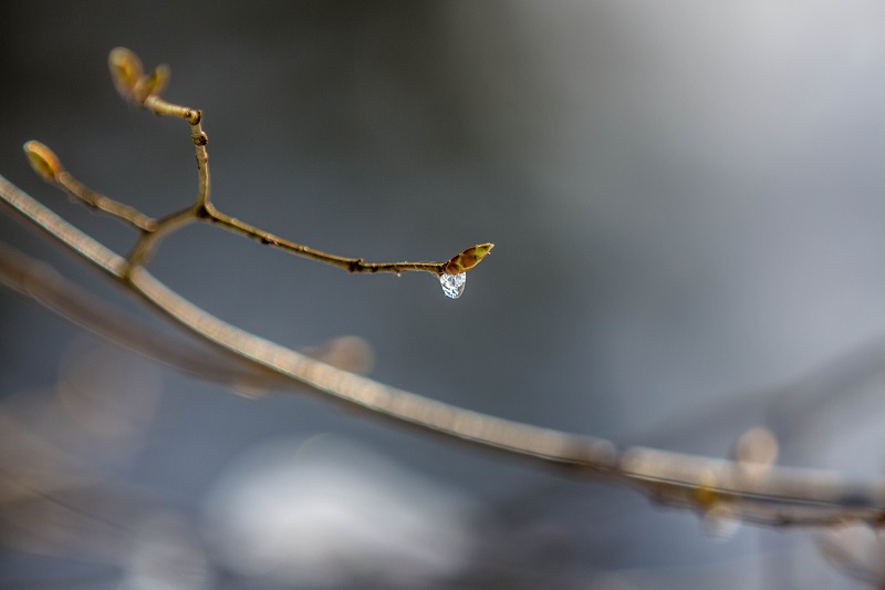 Nature abstraite1 (3 sur 6).jpg