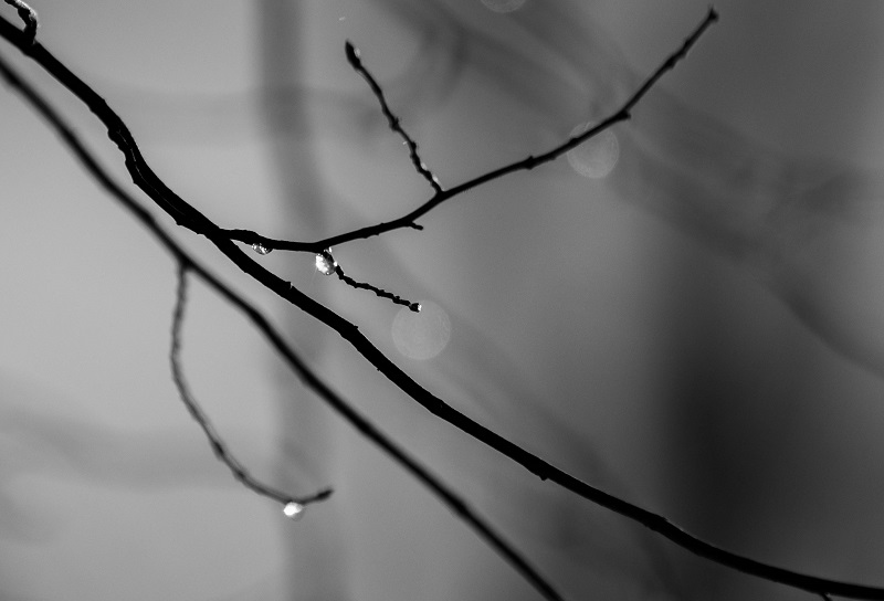 Nature abstraite1 (1 sur 6).jpg