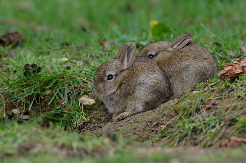DSC_9761-Modifier-1_I&N.jpg
