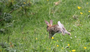 Copie de IMG_6708b.jpg