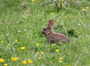 IMG_6707.JPG