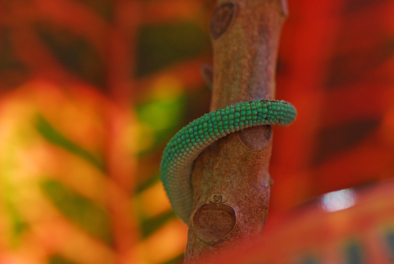 DSC_0152.JPG