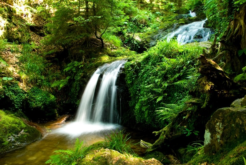 IMGP8755 - Cascade.jpg