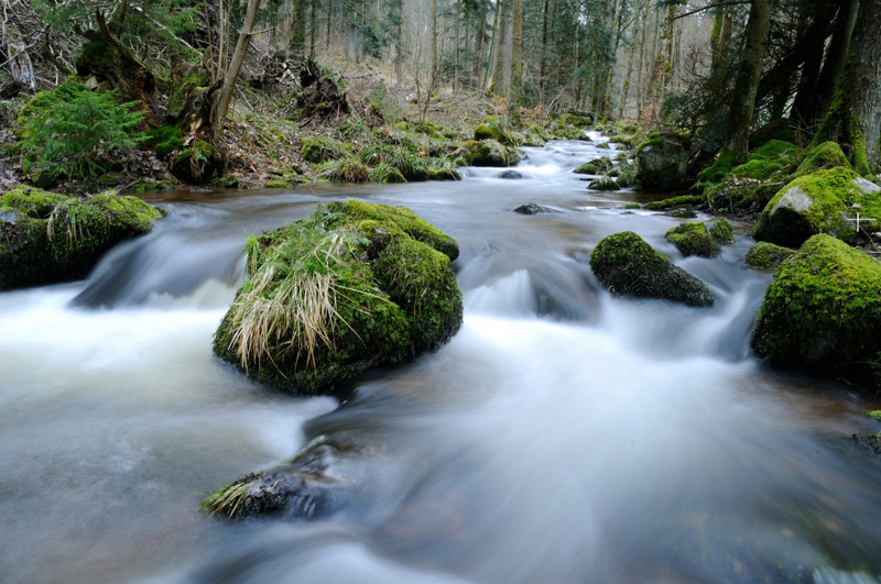 MAR_1203 (Copier).JPG