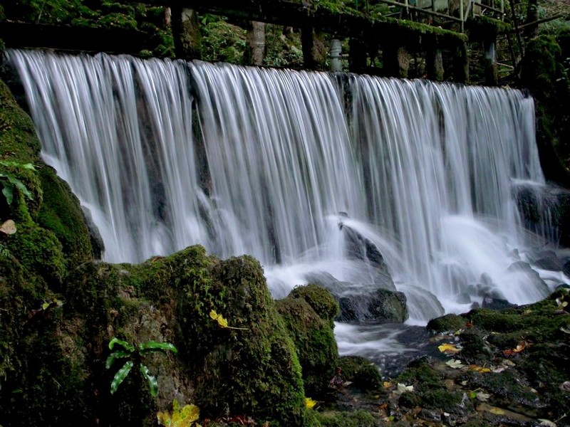 DSCF8261.JPG