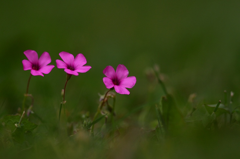 Test1.jpg