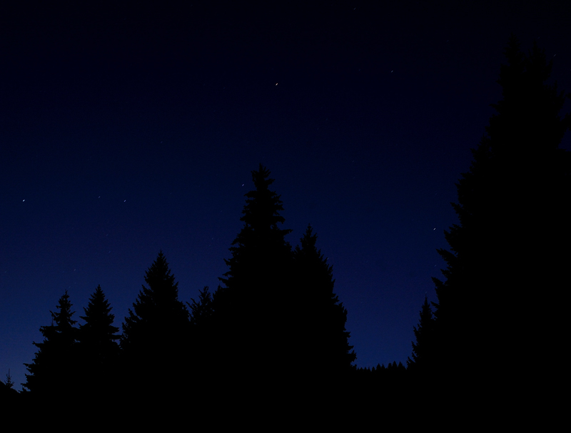 ombre-nocturne.jpg
