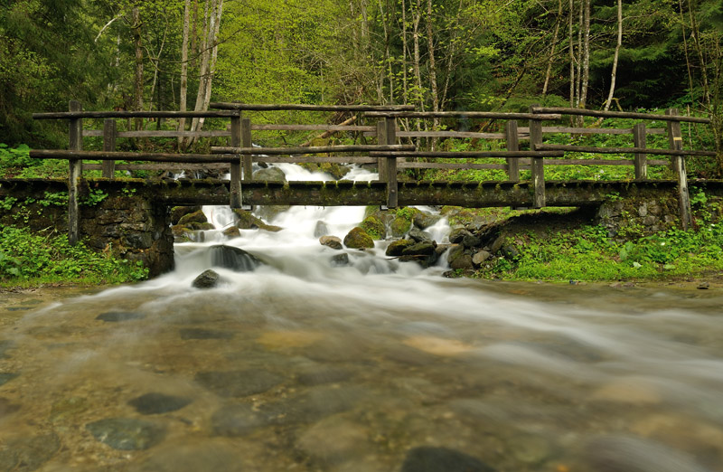 torrent-6.jpg