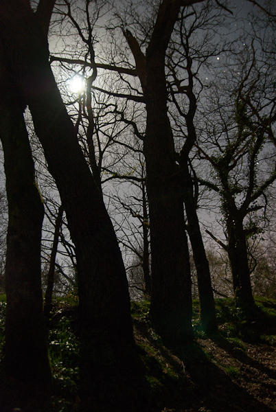 paysage_pose_lente-2908.jpg