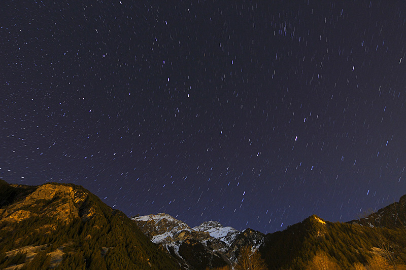 _MG_7733.JPG
