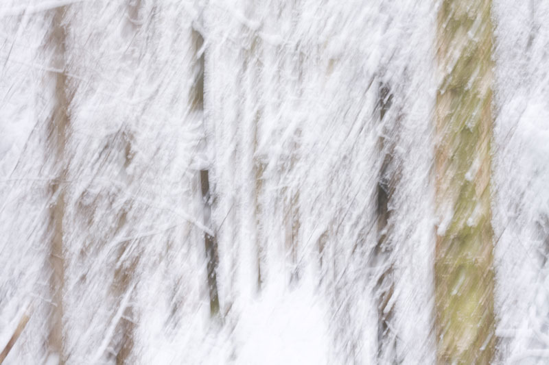 fondu-neige-web.jpg