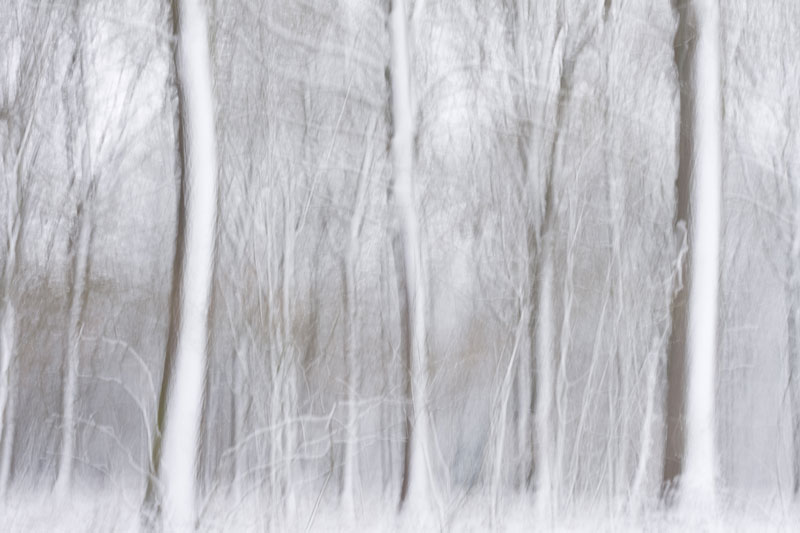 filé-neige-web.jpg