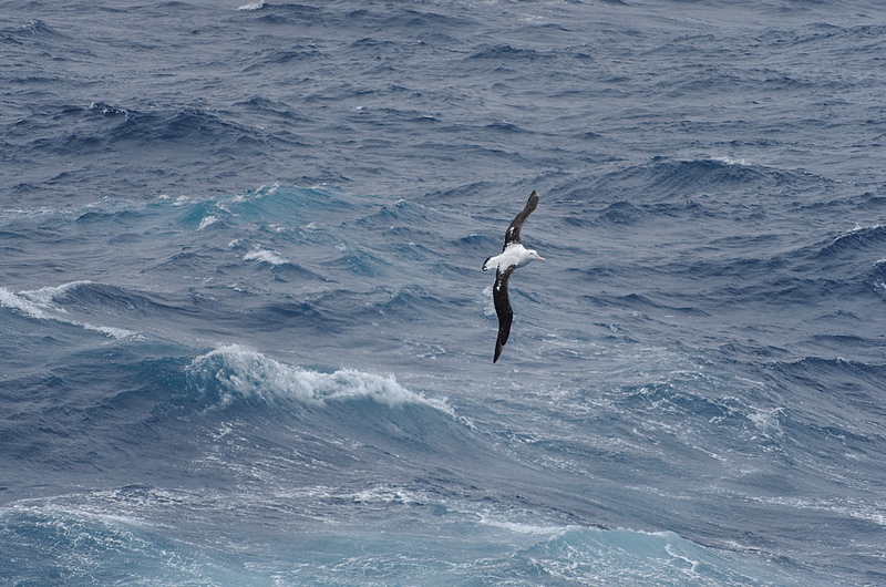 IMGP2473_DxO.jpg