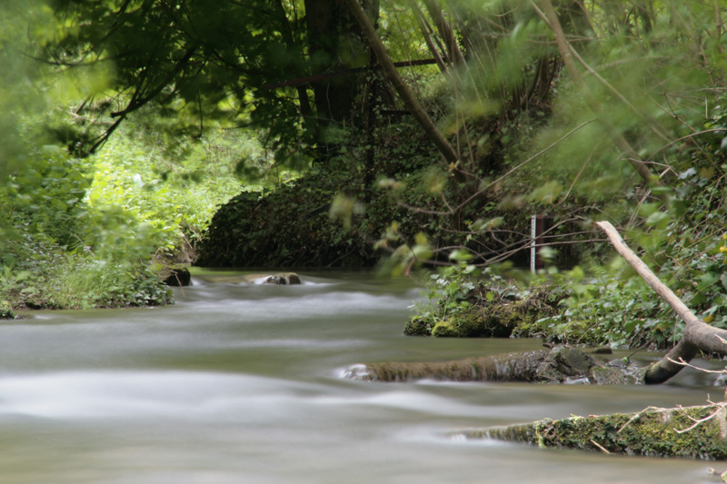 _MG_3242.jpg
