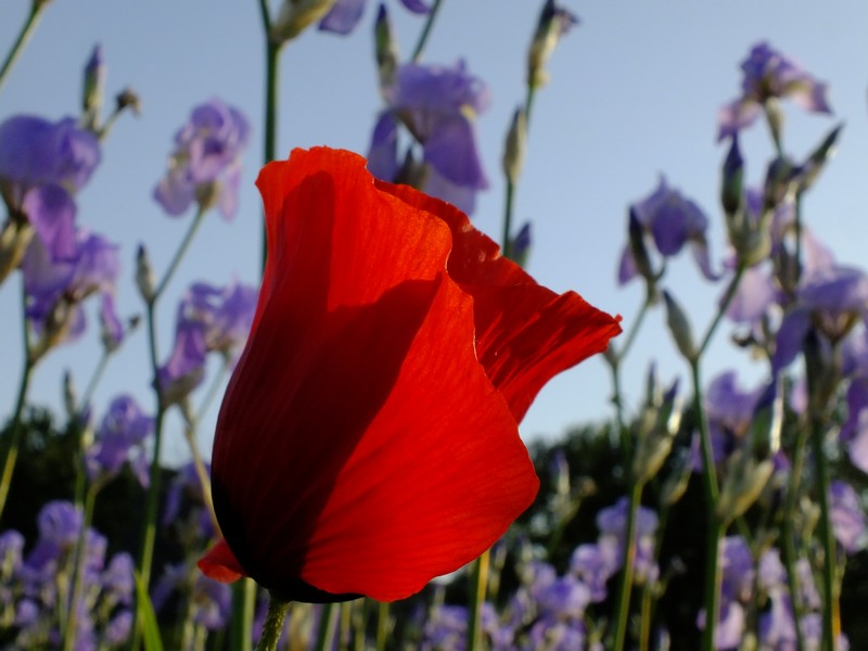 DSCF6167.JPG