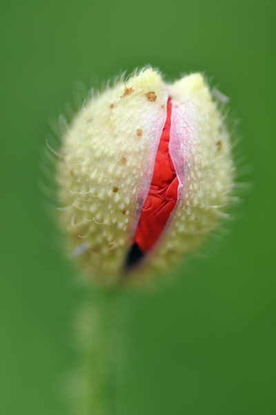 2012-05-18-055-.jpg