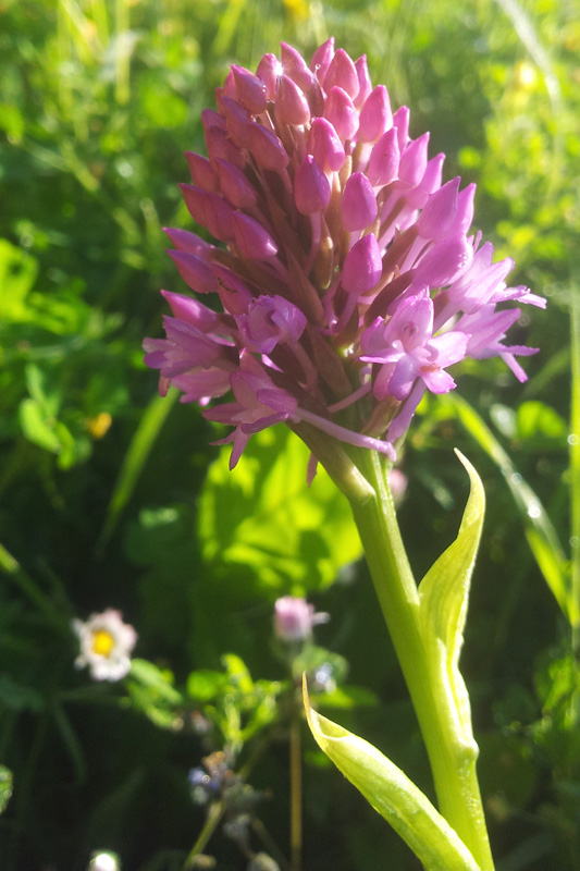 20130527_084425_800.jpg