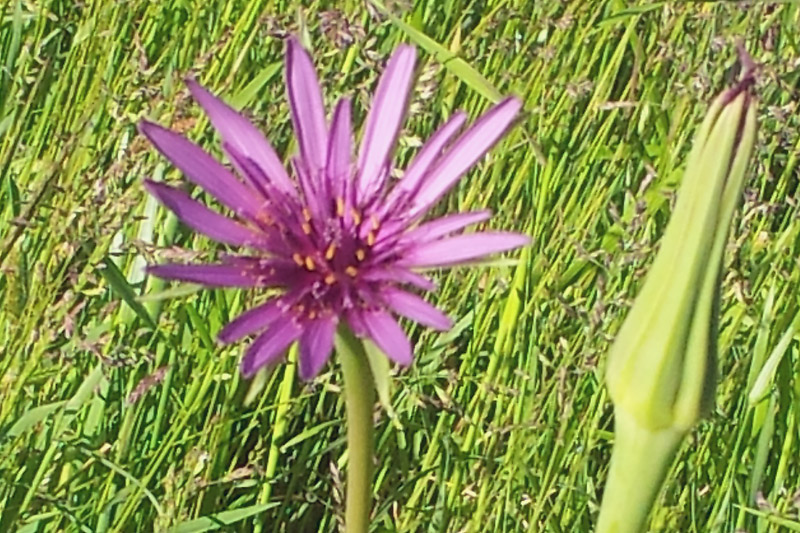 20130527_093819.jpg
