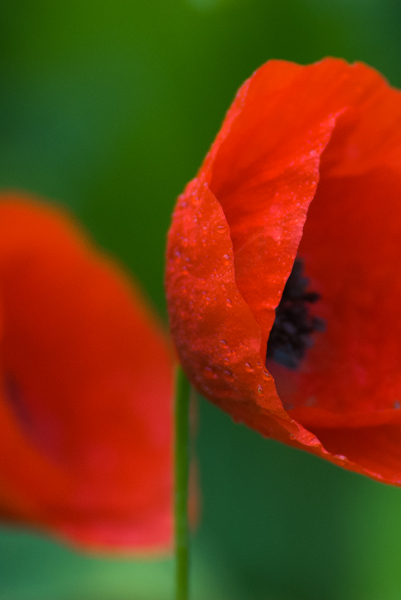 DSC_1425.jpg