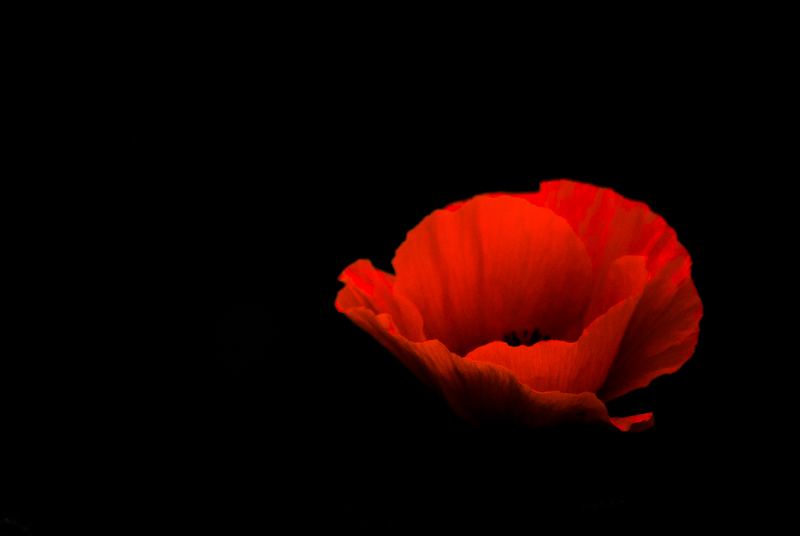 DSC_1551.jpg